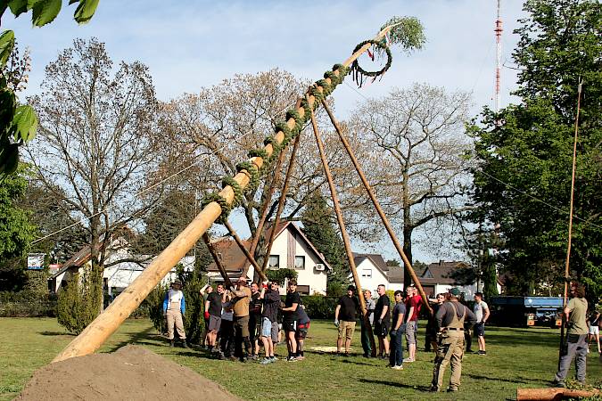 Maypole raising in Zeißig, 2024. Photo: Johann Tesche