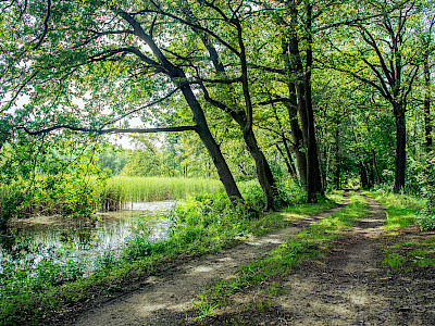 Terminy 19.01. - 25.01.2026