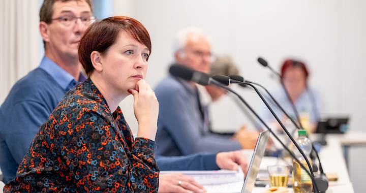 Wokno w Serbskim domje z čerwjenym logom Domowiny z třomi lipowymi łopješkami, kotrež ze zdónka z wosom korjenjemi wuchadźeja, wobdate wot kwadratiskich škleńčanych platow we wšelakich šěrych barbach.