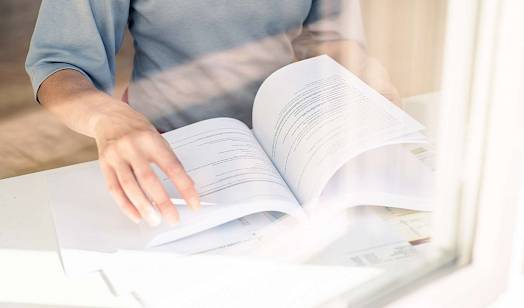 Download: Logo Domowina