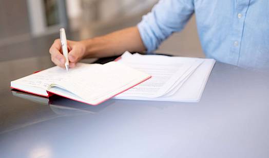 Download: Logo Domowina