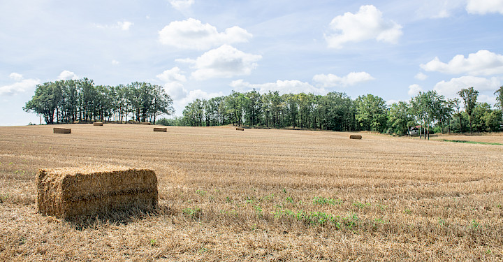 Abb.: Lorem ipsum dolor sit amet, consectetur adipiscing elit, sed do eiusmod tempor incididunta.