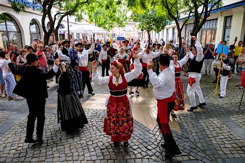Donnerstag, 26.6.2025 - Kinderprogramm, Umzug und Galaabend in Budyšin | Bautzen, Fotos: Božena Šimanec