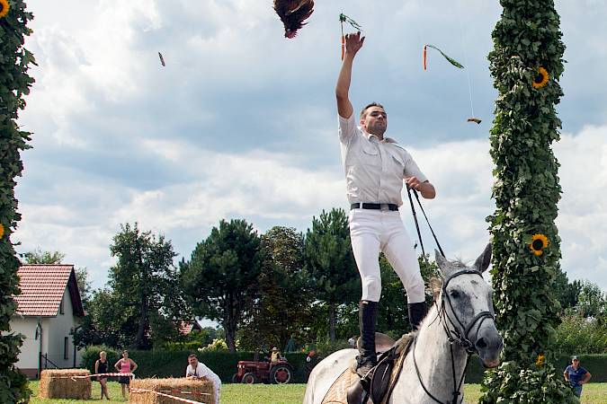 Hahnrupfen in der Niederlausitz. Foto: Peter Becker
